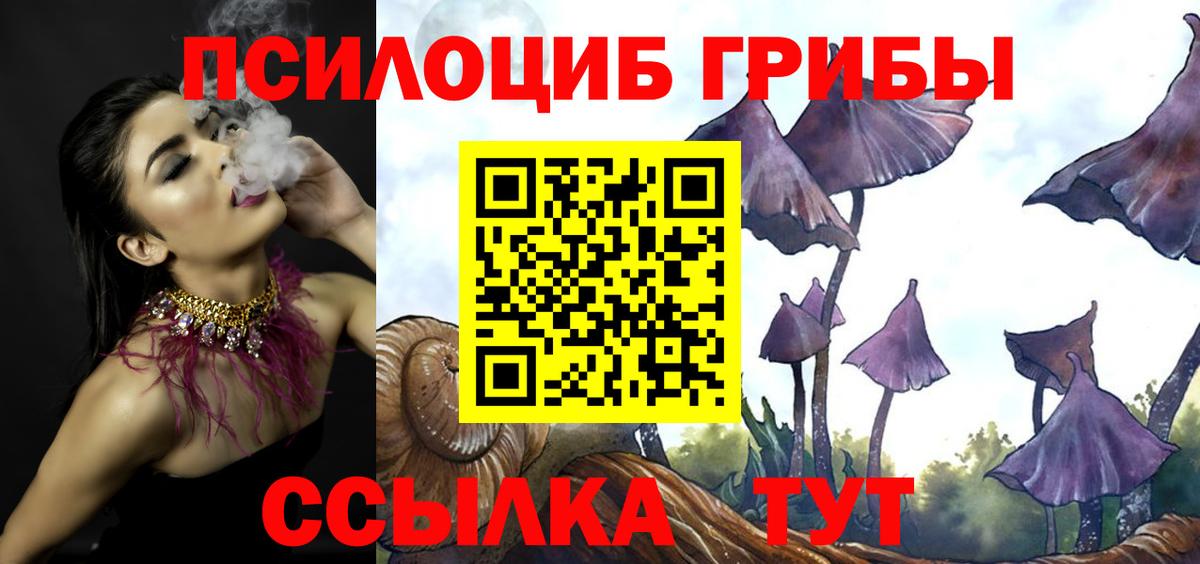 Псилоцибиновые грибы мухоморы Апрелевка