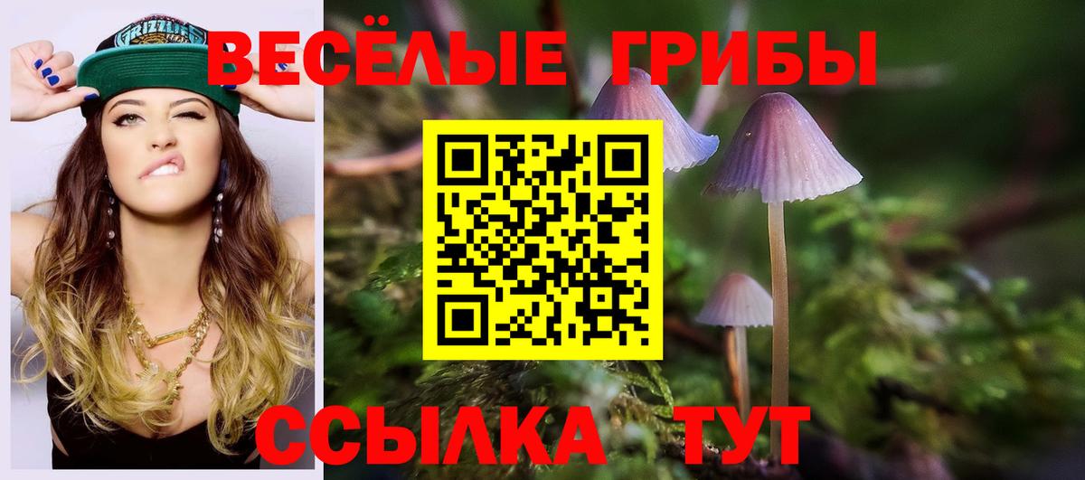 Апрелевка  Псилоцибиновые грибы ЛСД  Вход с VPN 